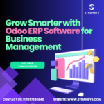 Odoo ERP Software for Business Management